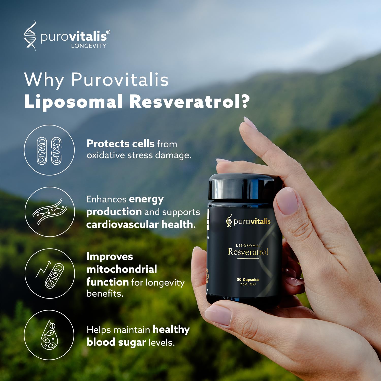 PUROVITALIS Liposomales Trans-Resveratrol 250mg, mikronisiert, 60 Kapseln