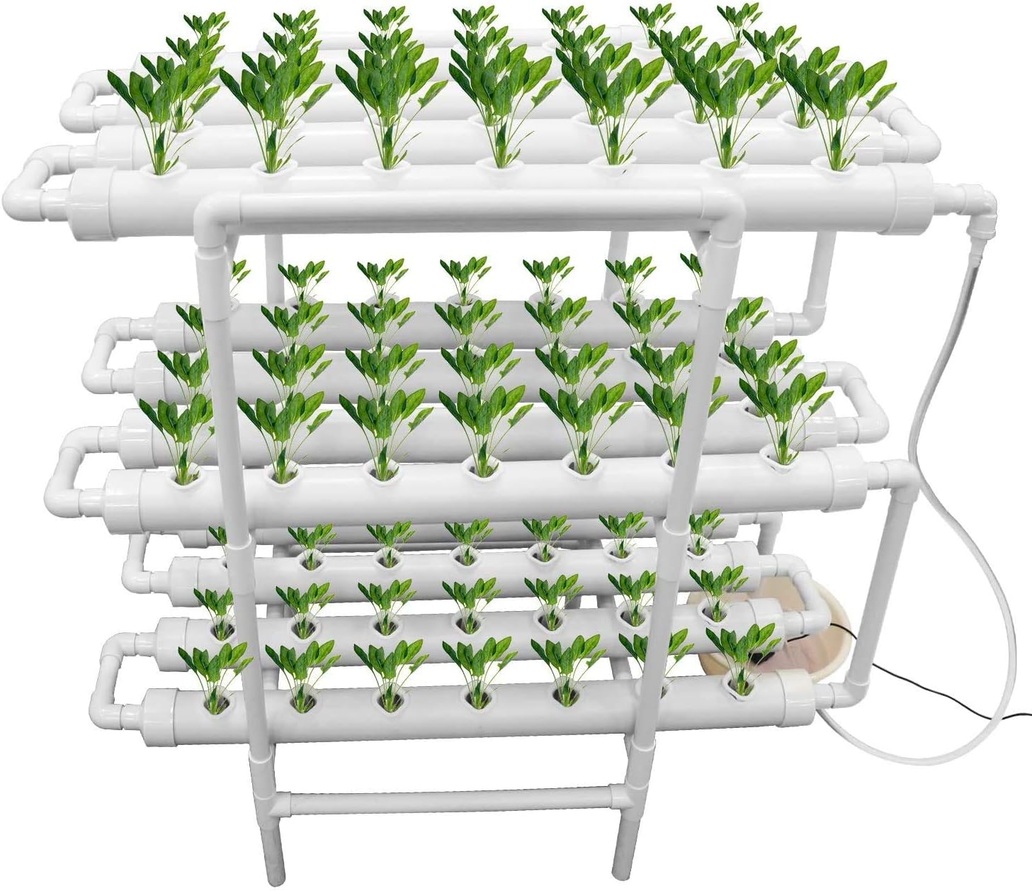 BOTANIUM(ボタニアム) 水耕栽培キット ローレルグリーン 栽培キット