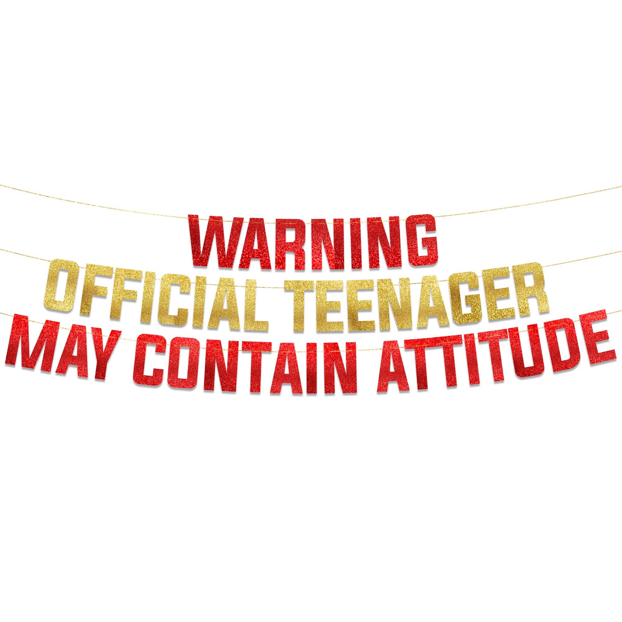 Warning Official Teenager May Contain Attitude Gold Glitter Banner - 13th Birthday Party Supplies, Ideas, Gifts and Decorations