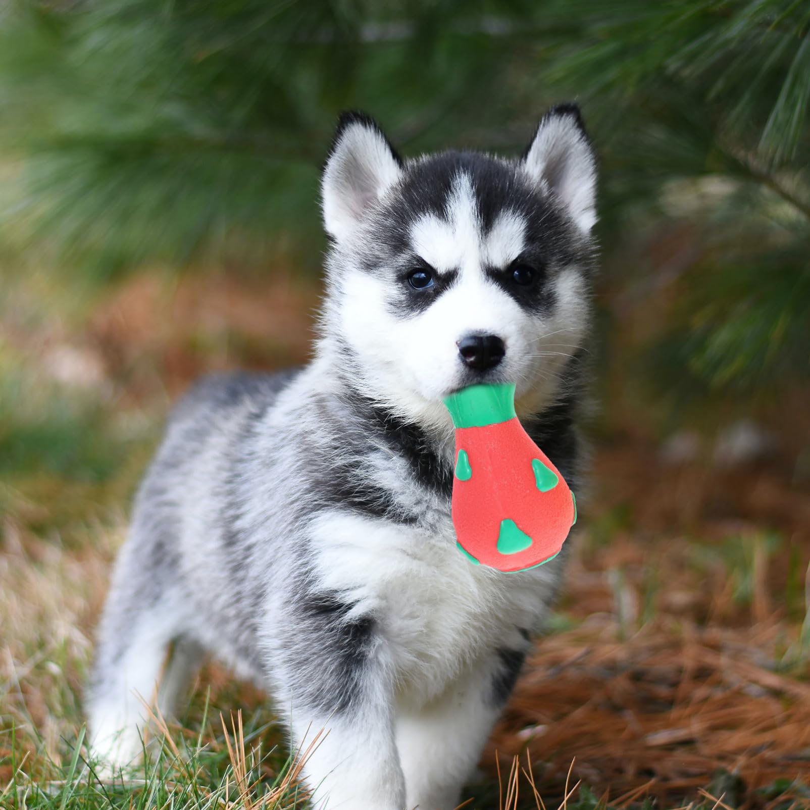 Kisangel 6piezas Juguetes Interactivos para Perros De Juguetes Molares para Cachorros Accesorios Divertidos para Perros Pequeños Estimula El Ejercicio y Reduce El Estrés