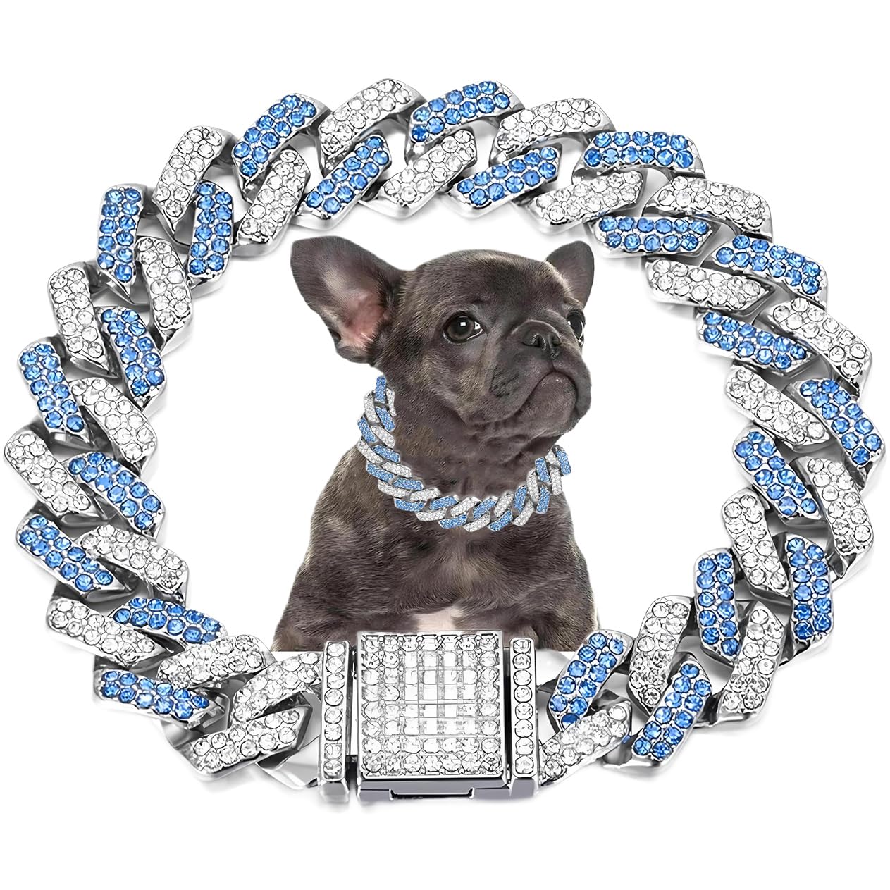 Blue Dog Chain