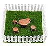 Product Photo 5