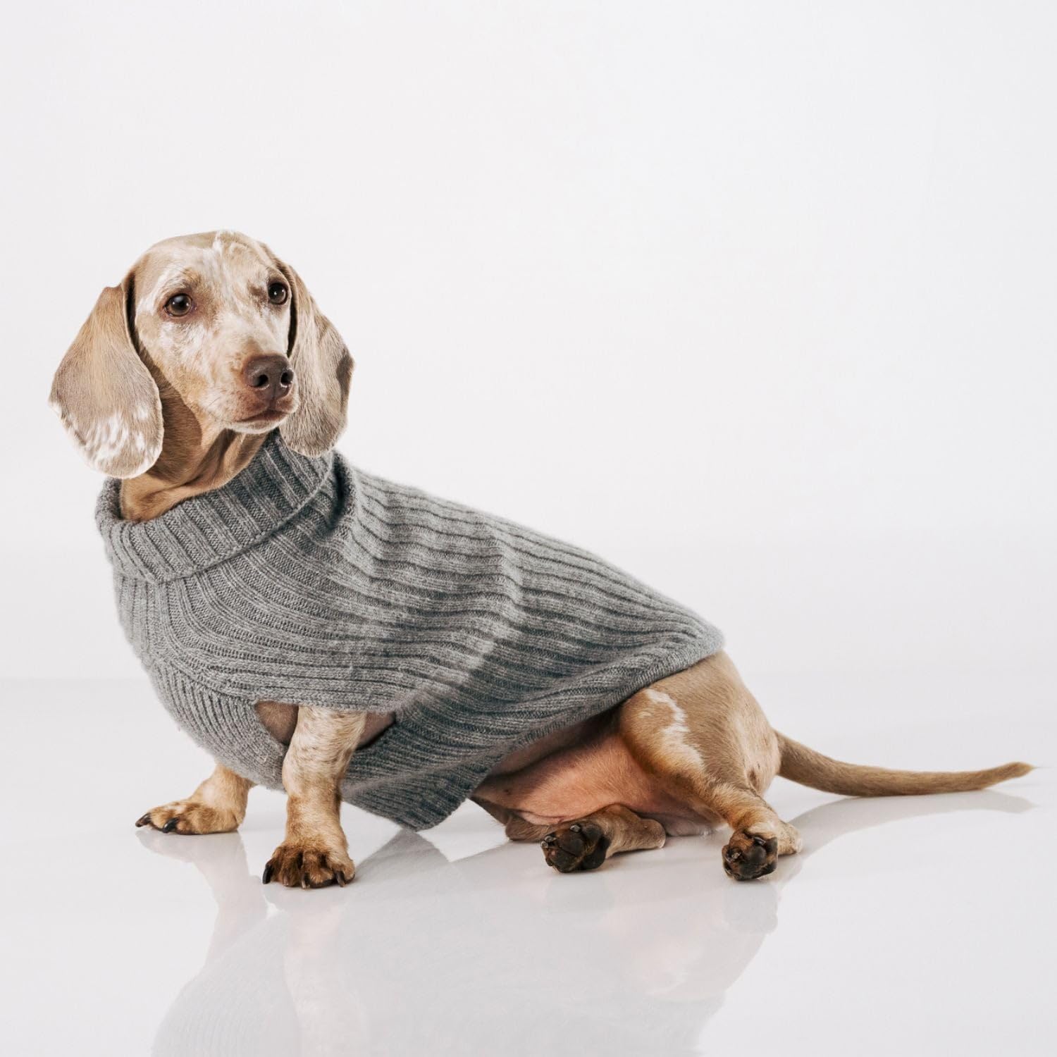 Luxury 3-Thread Cashmere Dog Sweater- Heather Gray Ribbed Knit with Leash Opening- Rialto Style- Made in Italy - Size XL