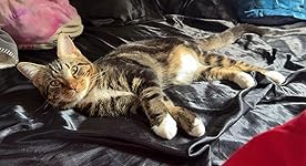 Review Image by Hannah Banana Hannah Banana