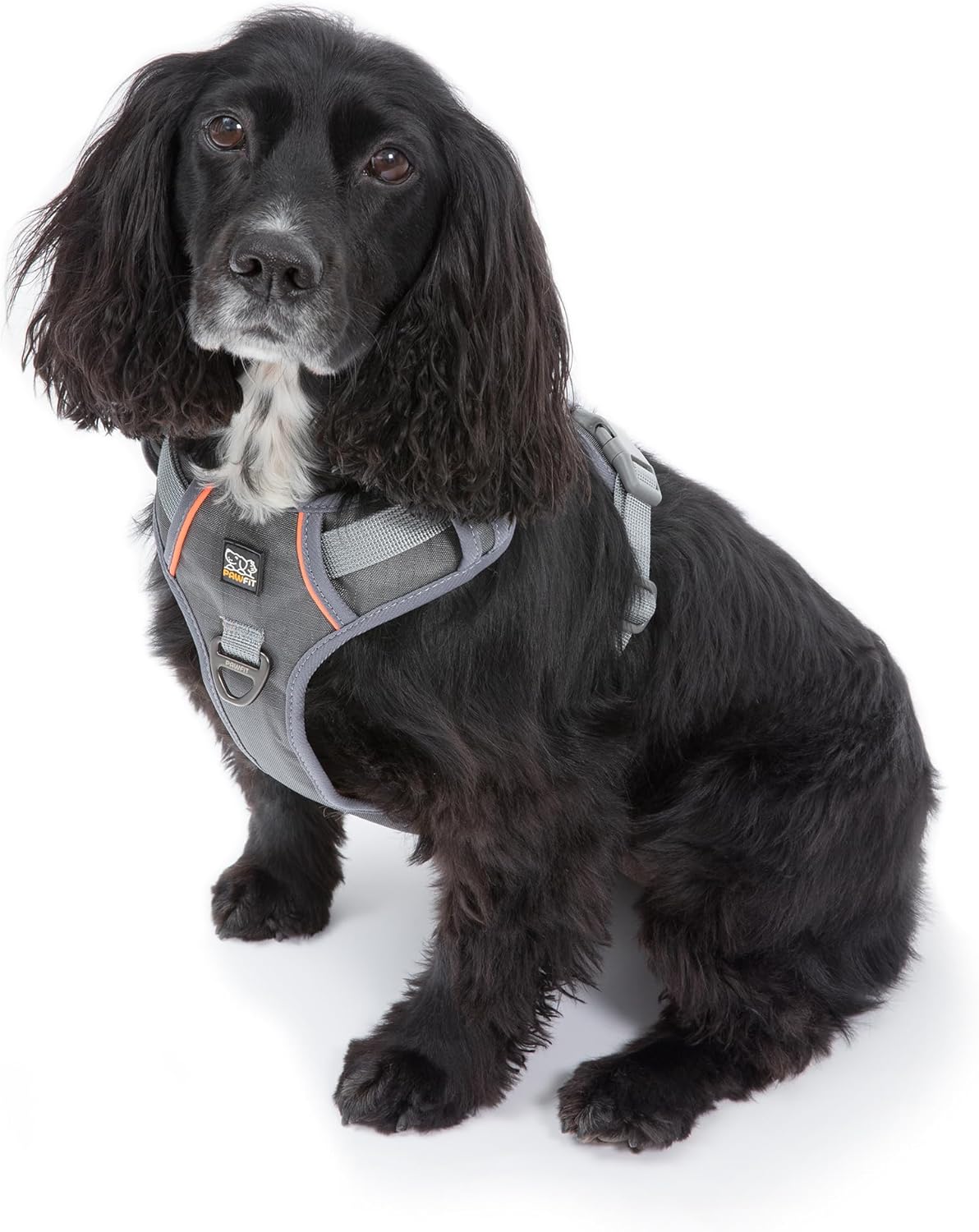 Pawfit 3 Series Harness for Medium Dogs, No Pull Pet Harness with 2 Leash Clips, Adjustable Soft Padded Pet Vest Harness, Reflective for Training or Walking