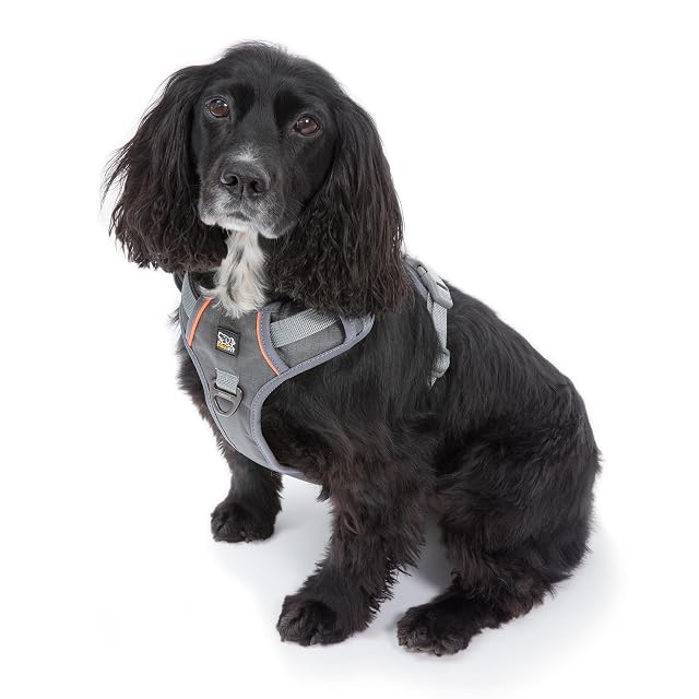 Foto 4 de 6 de Pawfit Arnés extra grande para perro, sin tirones, con 2 clips de correa, ajustable, reflectante