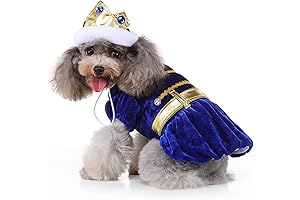 Adorable Dog Prince Costume