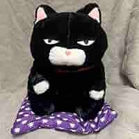 ひげまんじゅうBIGぬいぐるみ 黒豆 2zzhgl6 Amazon.co.jp: ひげまんじゅうBIGぬいぐるみ 黒豆 700993 : おもちゃ