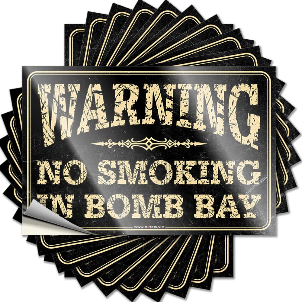 Fzfn Colour Bumper Teens Waterproof Vinyl Sticker | Warning No Smoking In Bomb Bay Badass Water For Teen Diy Projects(12X18cm)