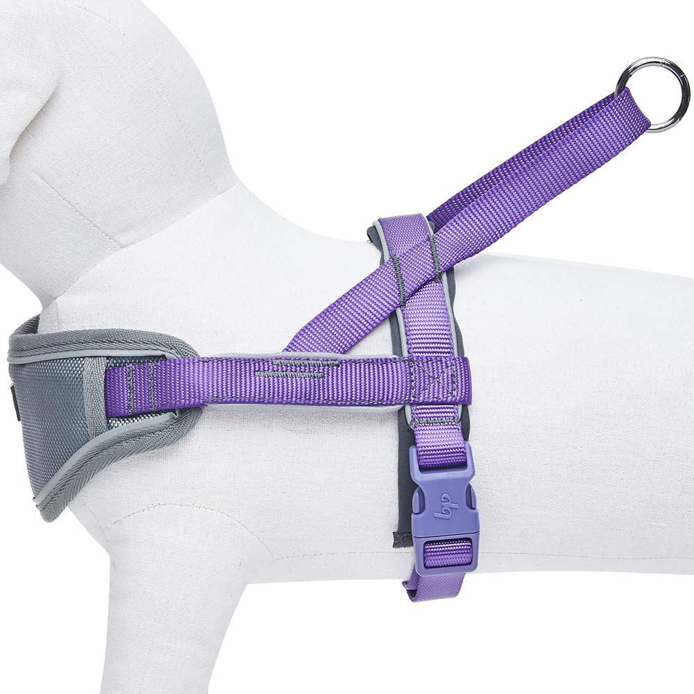 Blueberry Pet Comfy 3M Harnais rembourré avec bandes réfléchissantes pour chien, tour de poitrine 42 cm-54 cm, violet, taille S, harnais de dressage réglable en nylon pour chiens