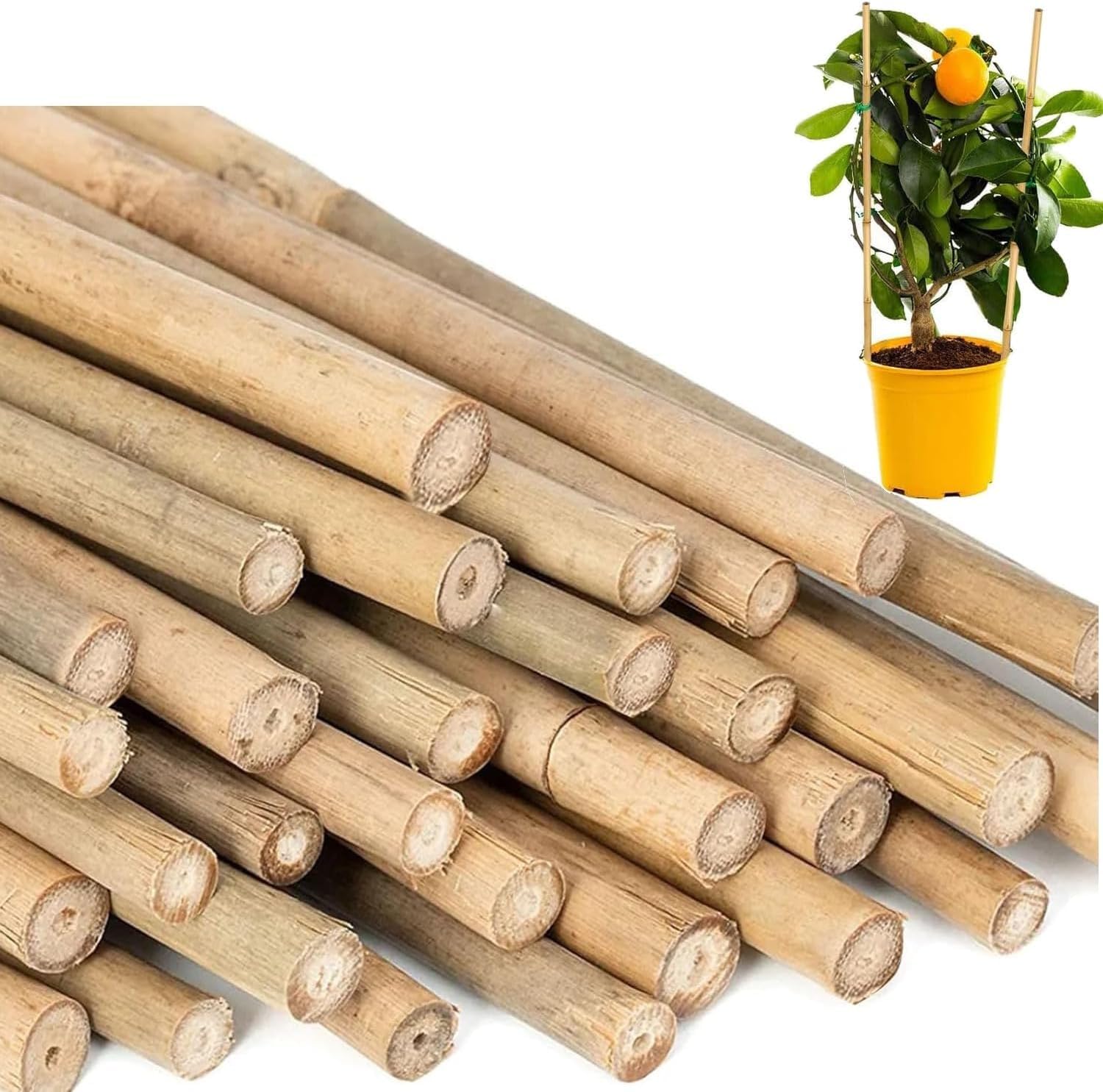 ADEPTNA 40PCS Natural Bamboo Plant Support Sticks – Sturdy Plant Stakes for Climbing Plants, Tomatoes, Beans, Flowers & Vegetables – Split Canes for Gardening, DIY, Floral Arrangements (118CM)