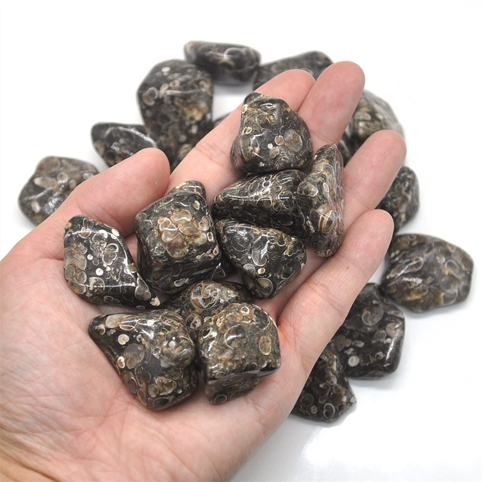 Agate naturelle brute 200g - Cristal de guérison en vrac pour spécimen minéral et aquarium