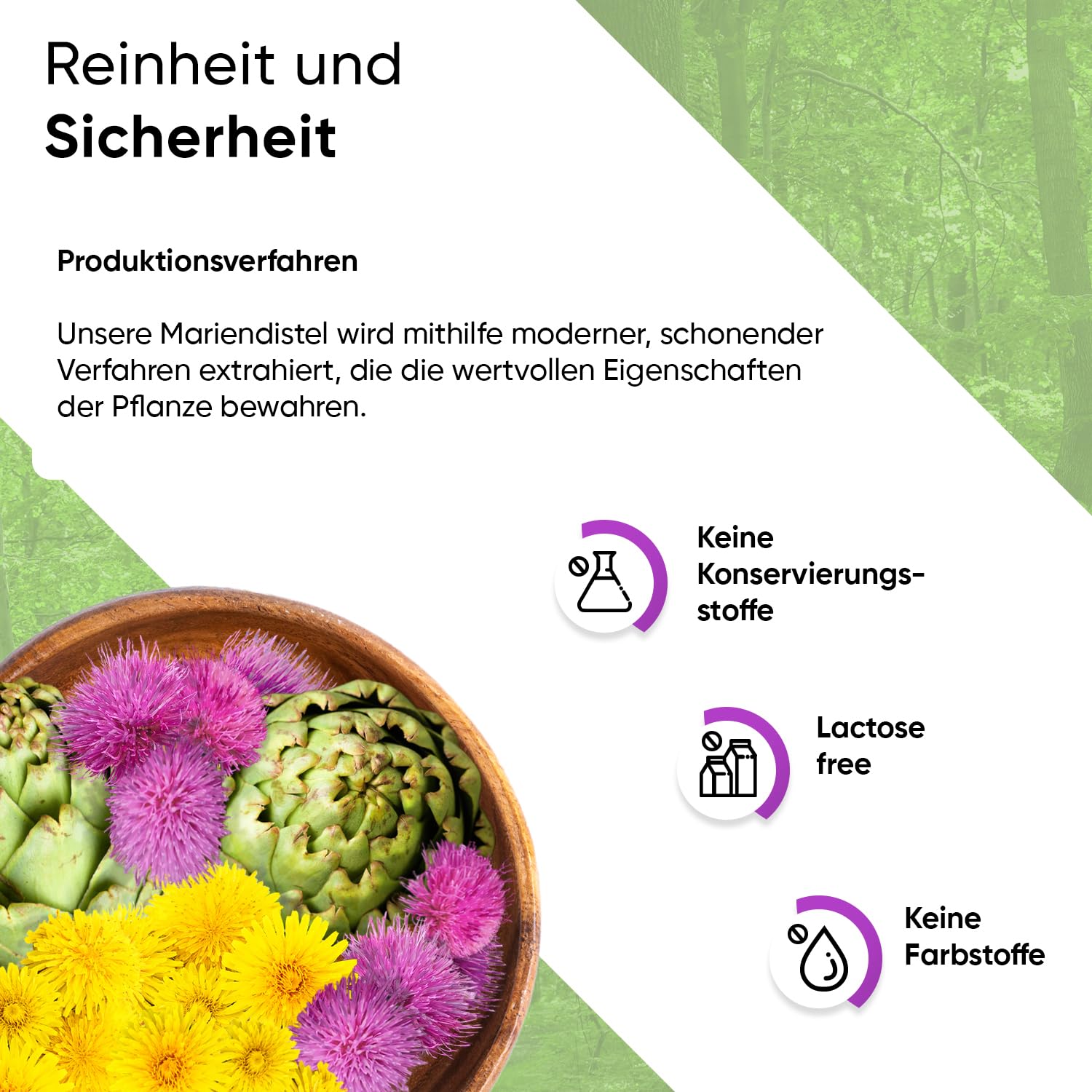 Mariendistel 240 Kapseln mit 80% Silymarin Extrakt Artischocken und Löwenzahn inklusive Pillenbox 8 Monate Vorrat 100% vegan reine Rezeptur geprüfte Qualität