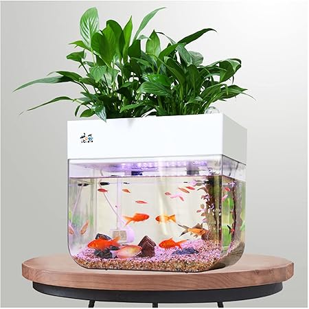 Amazon アクアポニック 水槽 水耕栽培システム 植物 水栽培 システム アクアポニックス小型水槽 水槽セット アクアポニクス 水耕栽培 有機セルフ給水プランタ 家庭用 アクアポニックス ブリオ 水槽 セット Urraca 水槽 通販