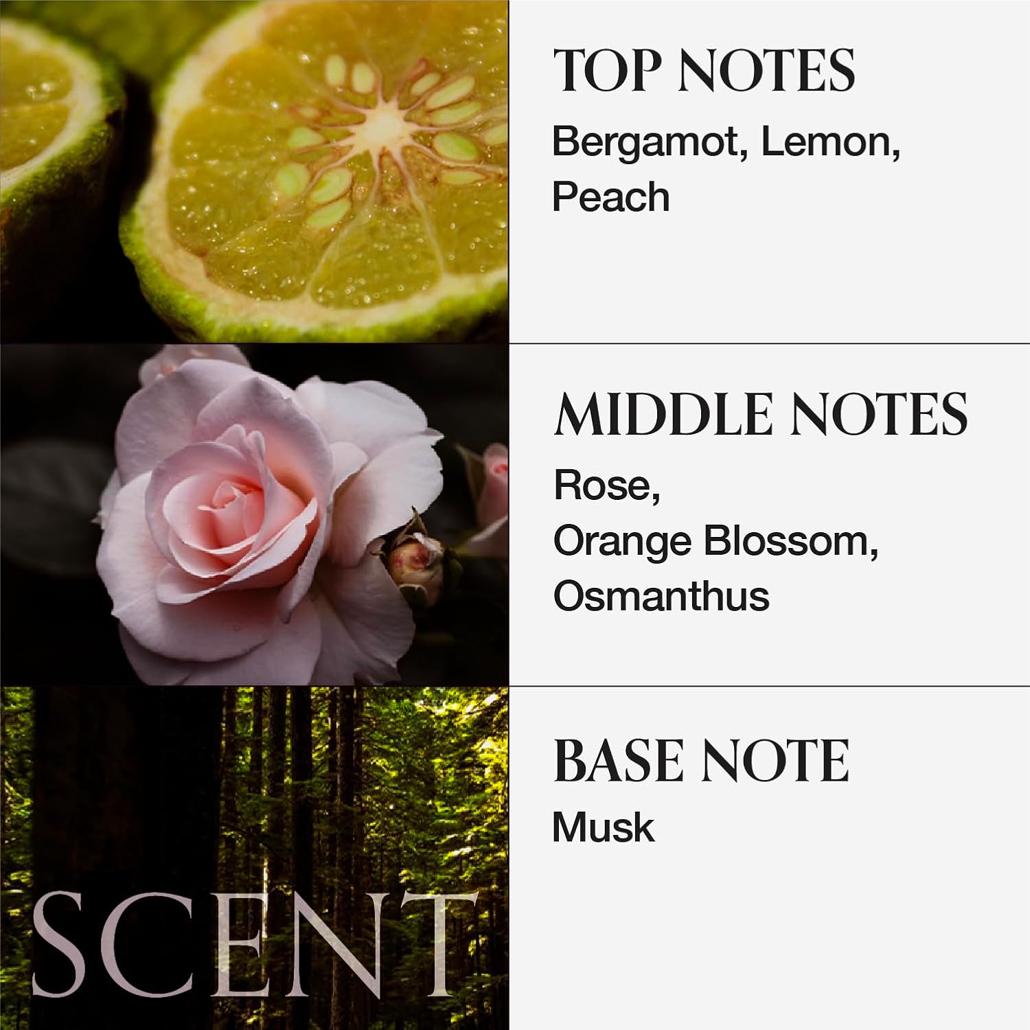 MONCLOS Velvet Shampoo (16.9 fl oz) - Volume Shampoo for Fine and Thinning Hair. Sulfate-Free, Peptide-Infused Formula for Soft, Shiny Hair, and Root Volumizing - Image 8