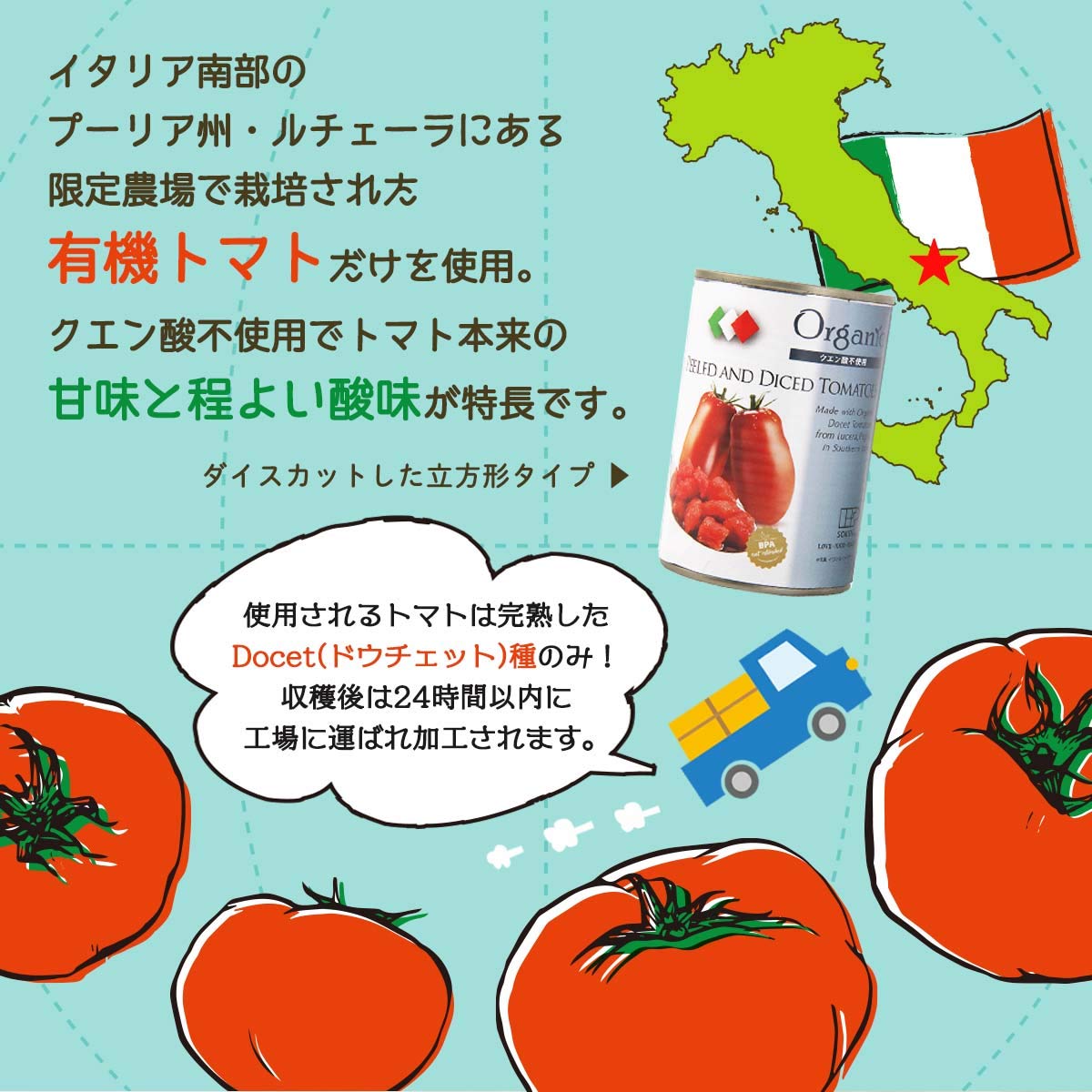 創健社 有機ダイストマト缶 400g 固形量240g