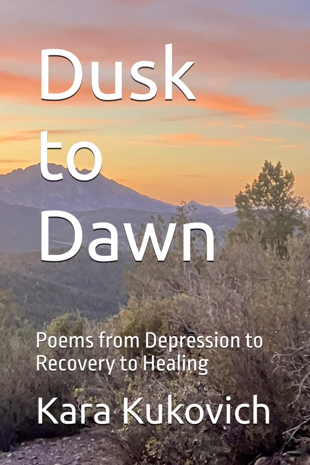 Dusk to Dawn: Poems from Depression to Recovery to Healing