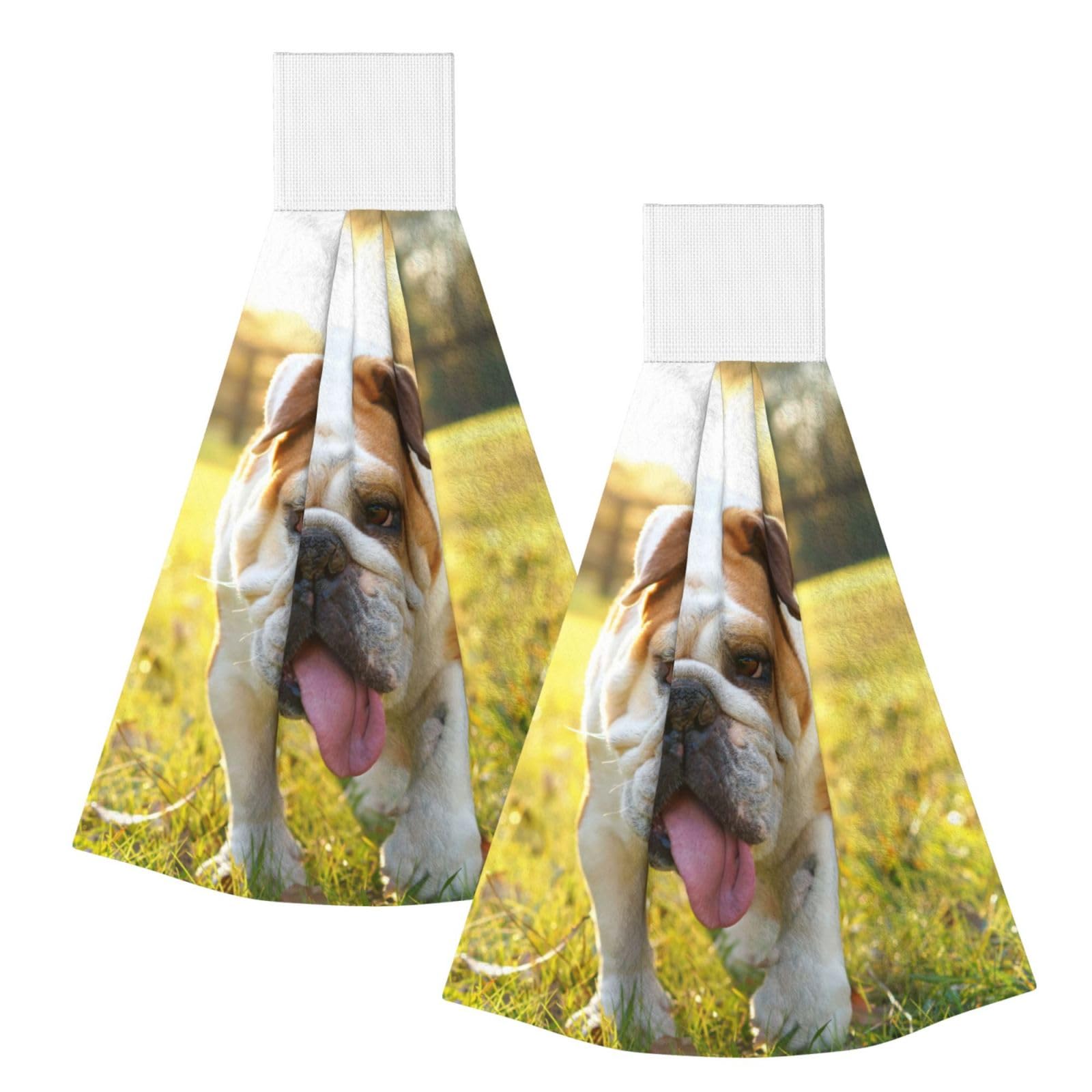 DOPKLNA Cute Bulldog Puppy Print, 2 Pcs Hanging Coral Fiber Hand Towels for Bathroom, Absorbent Kitchen Towels
