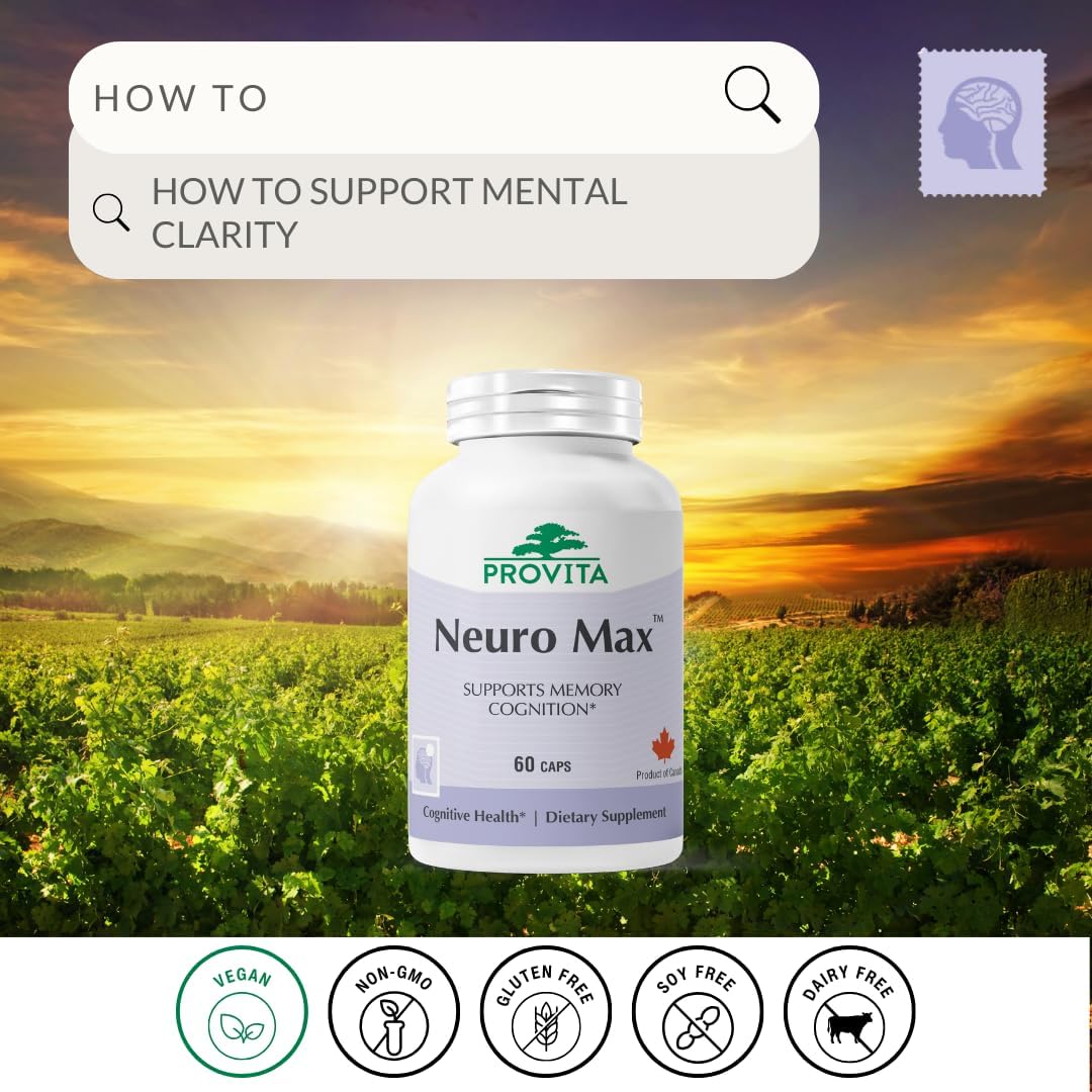 PROVITA Neuro Max™ | Cognitive Support Supplement | Vegan Nerve & Memory Support | Acetyl L-Carnitine, Ginkgo Biloba, Lions’ Mane & Choline | Focus & Brain Health Supplement | 60 Capsules
