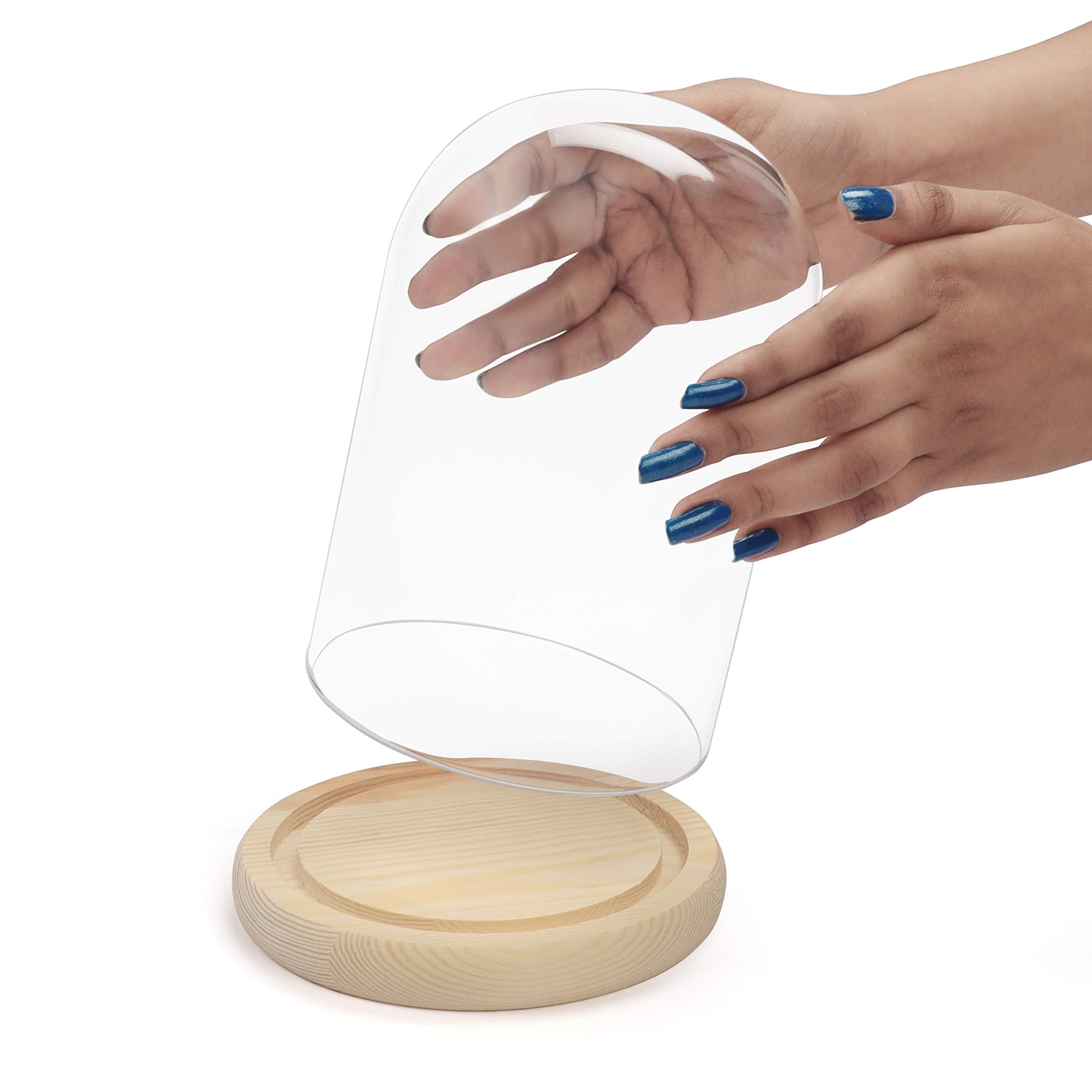 ADP Cloche En Verre Avec Socle En Bois Naturel 29429 - | FindTheDeal