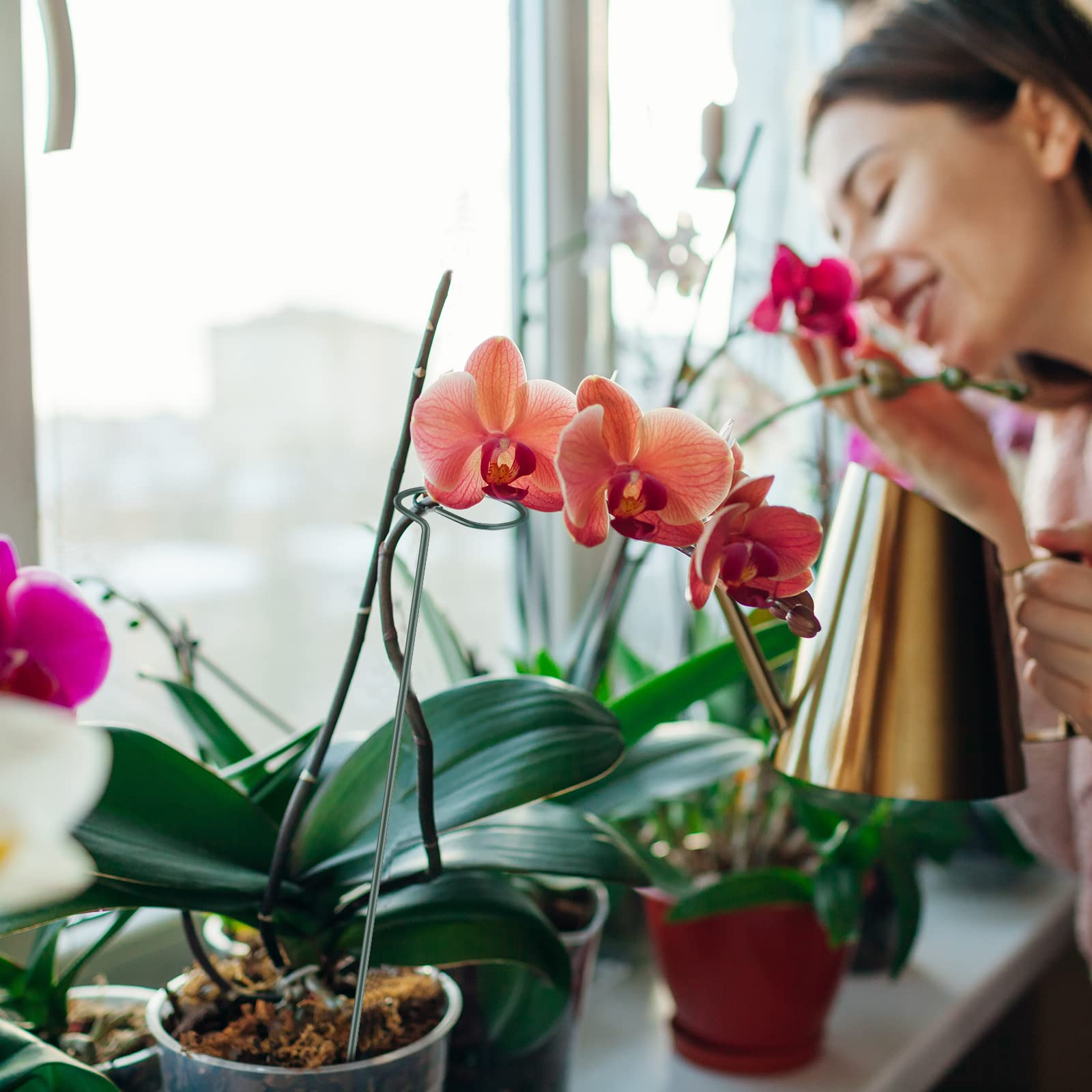 Zubebe 50 Packs Plant Support Stakes 16 Inch Single Stem Garden Plant Stakes Metal Amaryllis Stakes Plant Sticks for Indoor Plant Cage Support Rings for Outdoor Flower Orchid Lily Peony Rose Tomatoes