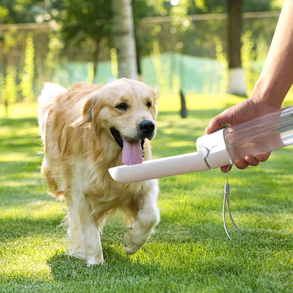 Faltbare Hunde-Wasserflasche 284 Ml – Tragbarer Wasserspender Für Unterwegs, Spülmaschinenfest