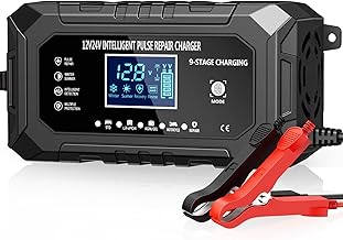 Husgw 15 A Car Battery Charger, 12 V/24 V Portable LiFePO4 Battery Charger, 9 Levels Intelligent Maintenance Charger, Multiple Protections, for Cars, Trucks, Motorcycles