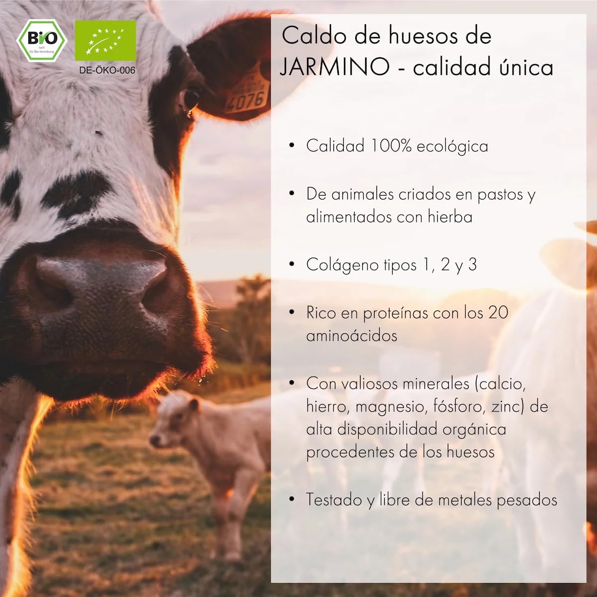 BONE BROTH caldo de hueso de carne ecológico en tarros / ganado alimentado con hierba / colágeno y ácido hialurónico naturales / caldo de hueso (4 x 350 ml)