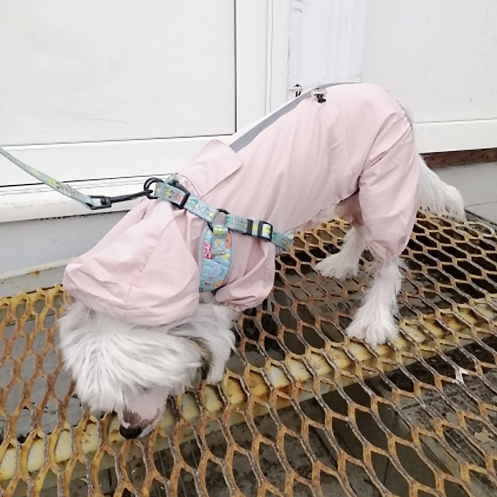 Imperméable pour Chien, Cordon de Serrage réglable Veste de Pluie pour Chien Tout Compris Combinaison Chiots à Capuche Poncho de Pluie avec Bande réfléchissante (Pink XXL)