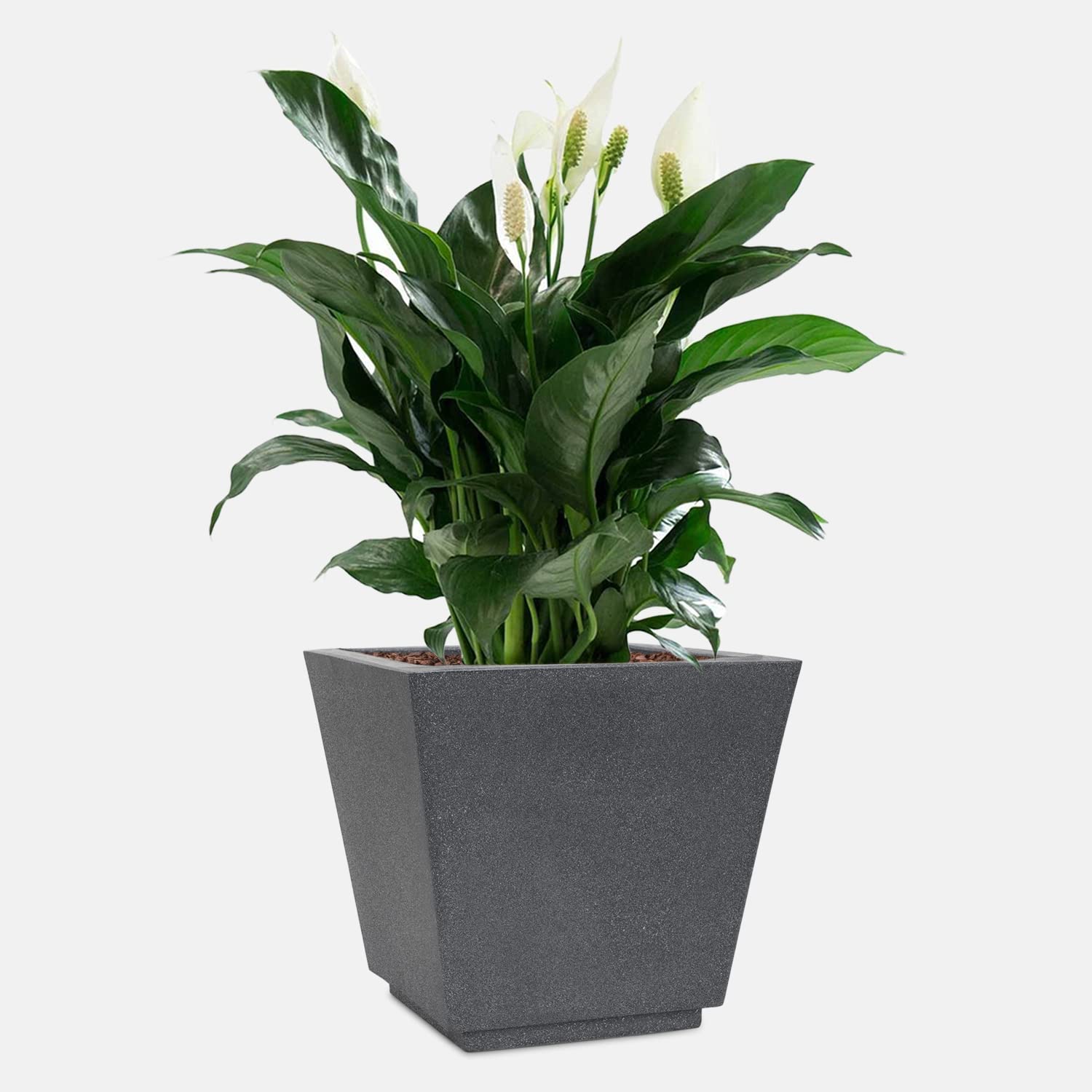YUCCABE ITALIAFox B 12 Inch Pots For Plants Highly Durable Polymers Lightweight Indoor Outdoor Plant Pots, Flower Pot Gamla Tree Planter Container Planters For Living Room, Balcony, Garden, Gray