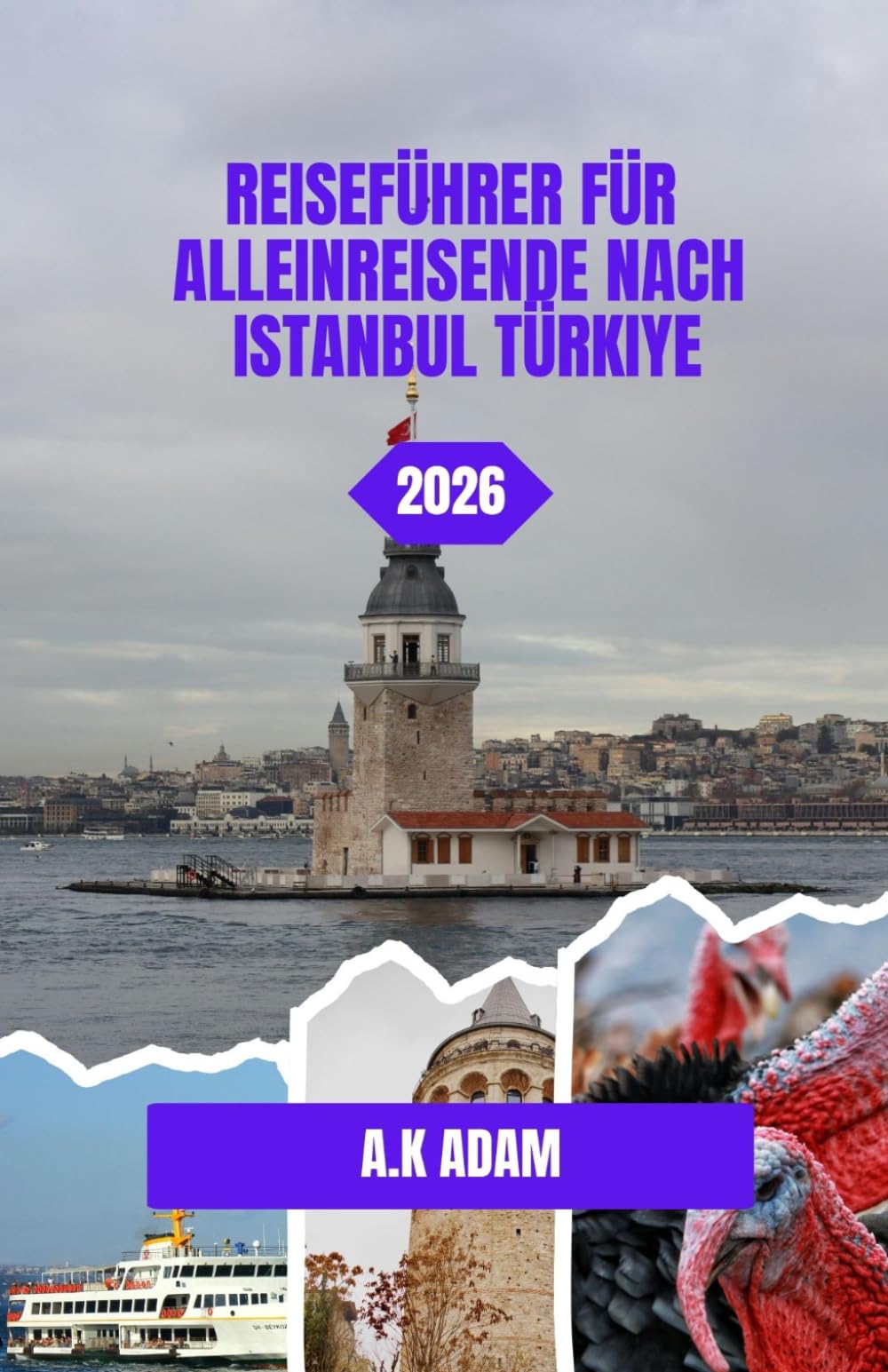 REISEFÜHRER FÜR ALLEINREISENDE NACH ISTANBUL TÜRKIYE 2026: Die Straßen und Küsten Istanbuls erkunden: Die Reise eines einsamen Reisenden