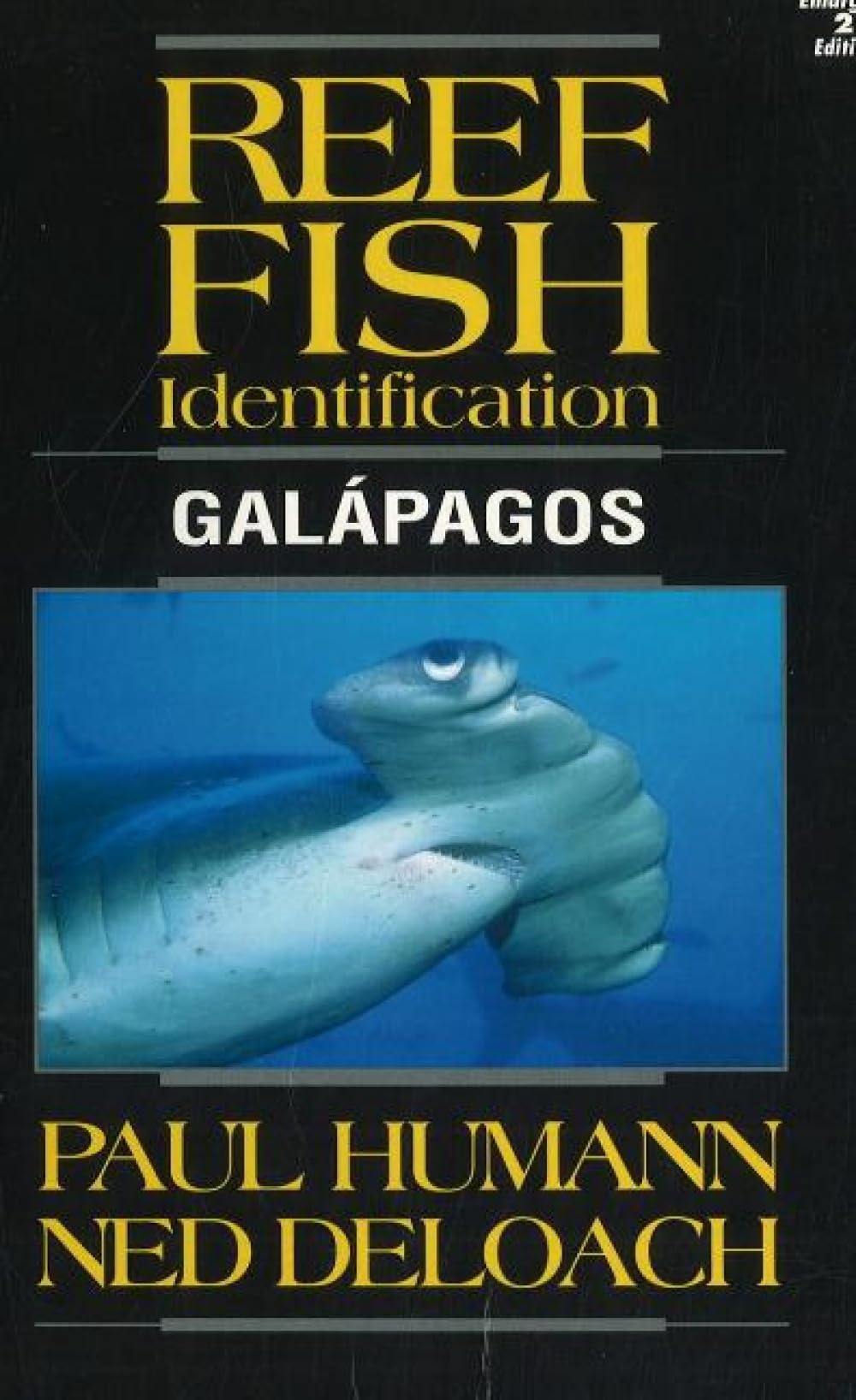 Reef Fish Identification