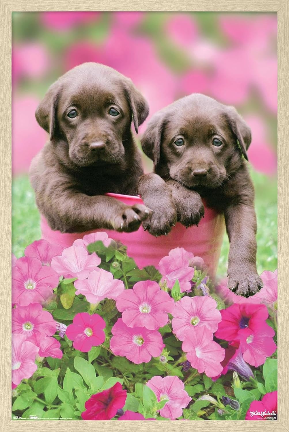 Trends International Keith Kimberlin - Labs Wall Poster, 22.375" x 34", Premium Unframed Version image 5