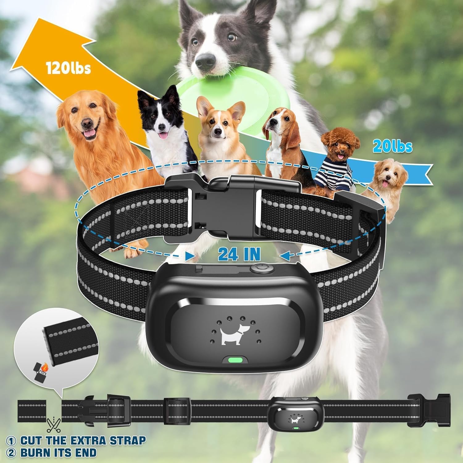 Dog Shock Collar with Remote Control- Training Collar for Small Medium Large Dogs, Electric Collar for Dogs Training Rechargeable, E Collar with Beep, Vibration & Shock-Lock Keypad