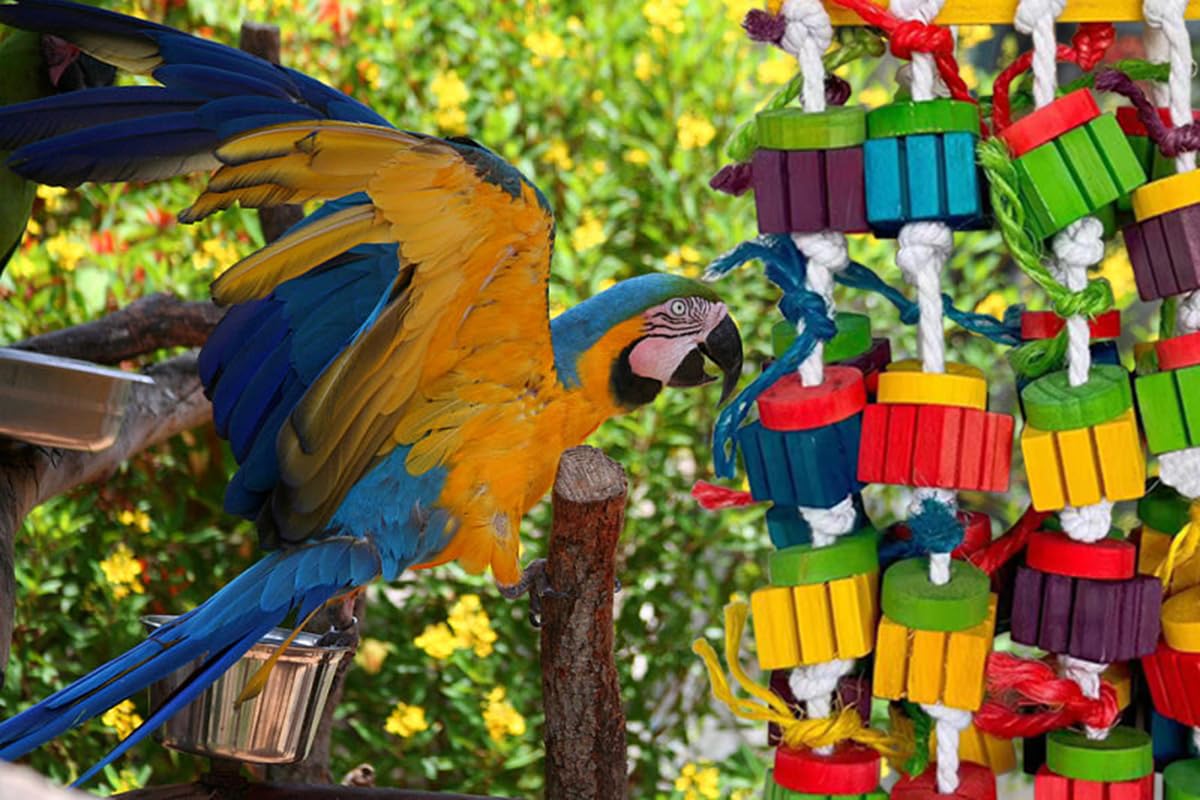 Grand oiseau perroquet jouets à mâcher pour aras, gris africain, perroquets amazones, cokatoos (50,8 cm)