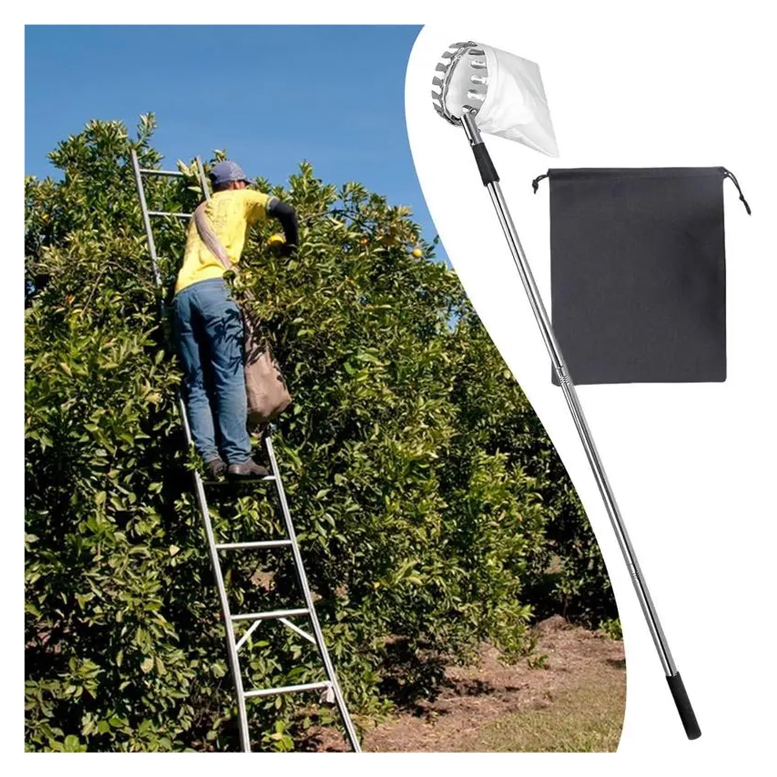 Leichter Baum-Erntehelfer, Obstpflücker, Teleskopgreifer, Greifer, rostfrei, silberfarben, for Eichel, Zitrone, Birne, Mango