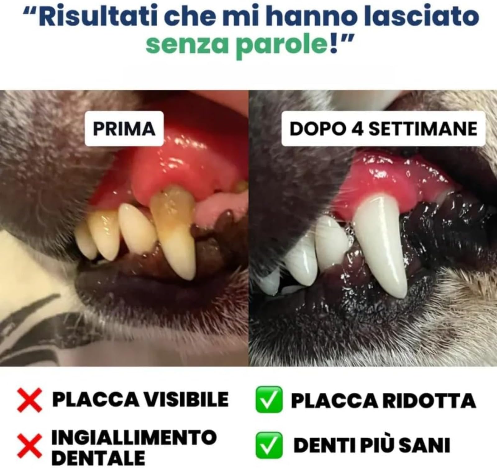 Zampalife Salviette Dentali Adatto a Cani e Gatti, Riduce Il Tartaro, Elimina Alito Cattivo e Alito Fresco (1 Scatola)