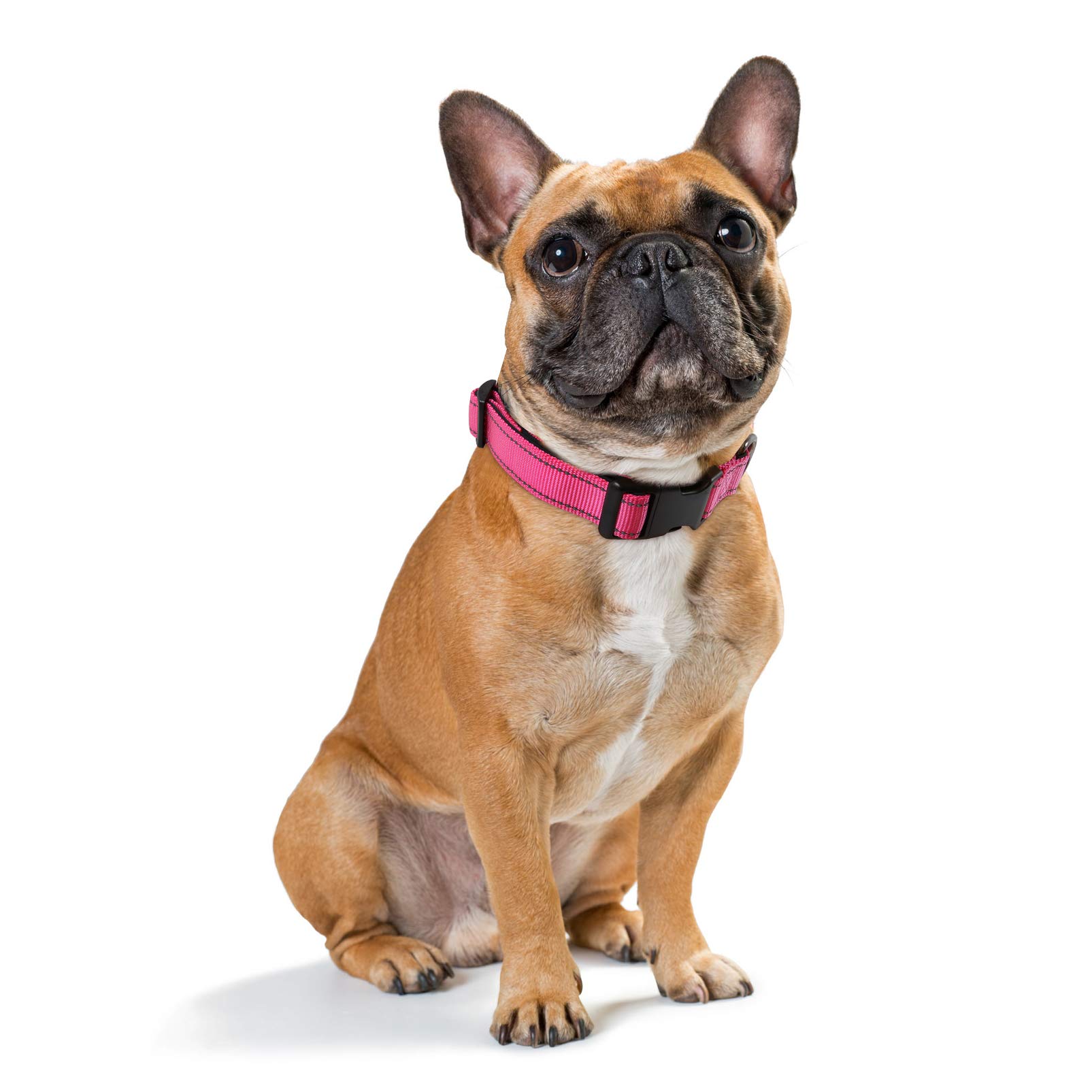 Reflektierendes Hundehalsband – Neopren Gepolstert, Verstellbar, Mit Schnellverschluss, Hotpink, M