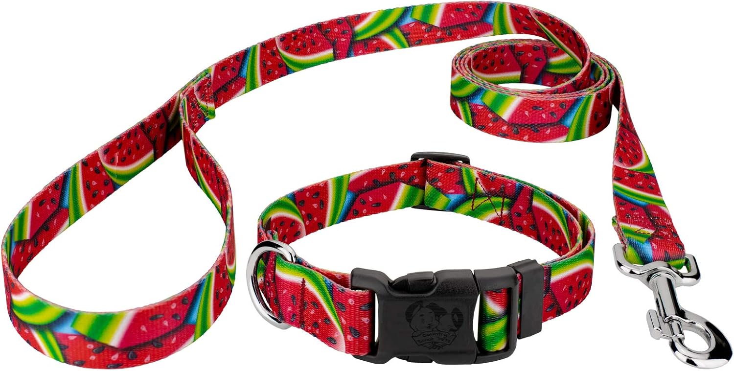Country Brook Petz - Summer Melon Everyday Dog Collar and Leash - Tasty Collection Featuring Yummy Designs (1 Inch, Medium)