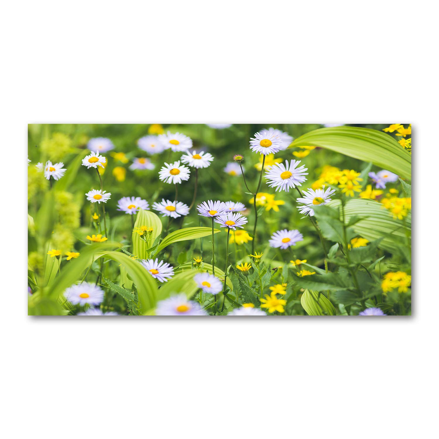 Image en verre acrylique 140x70 Tulup Margaritas déco murale