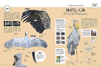 ハシビロコウのすべて 改訂版(廣済堂ベストムック) (廣済堂