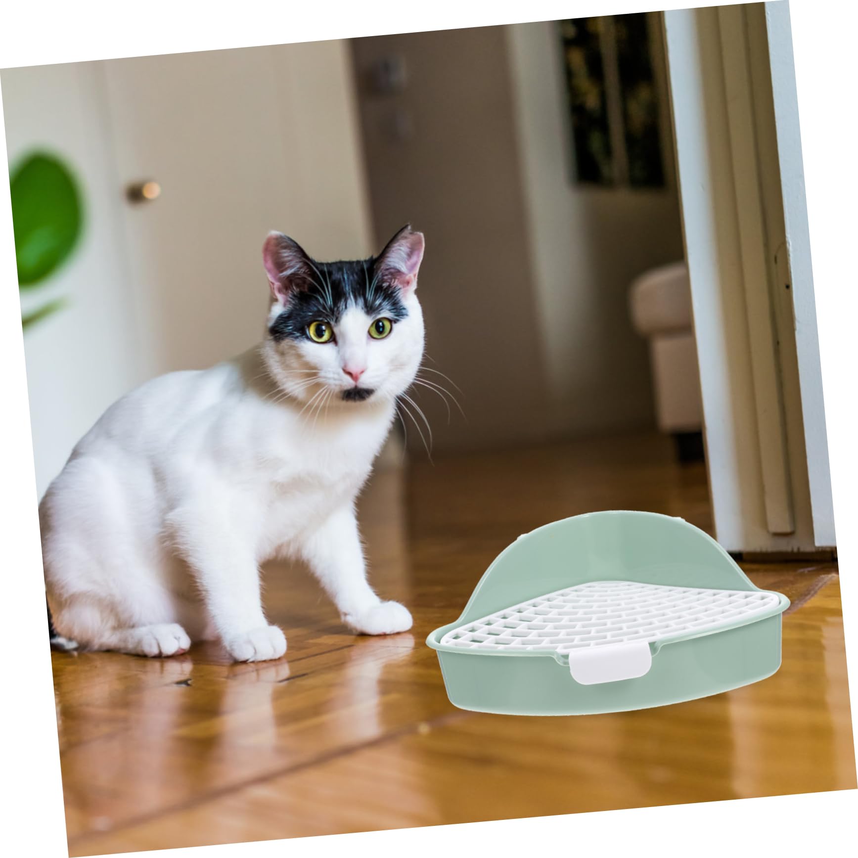 INOOMP 3pezzi Lettiera per Domestici per Conigli Cavia e Criceti Design Antischiuma e Facile Colore Menta per Abituare Bisogni Domestici