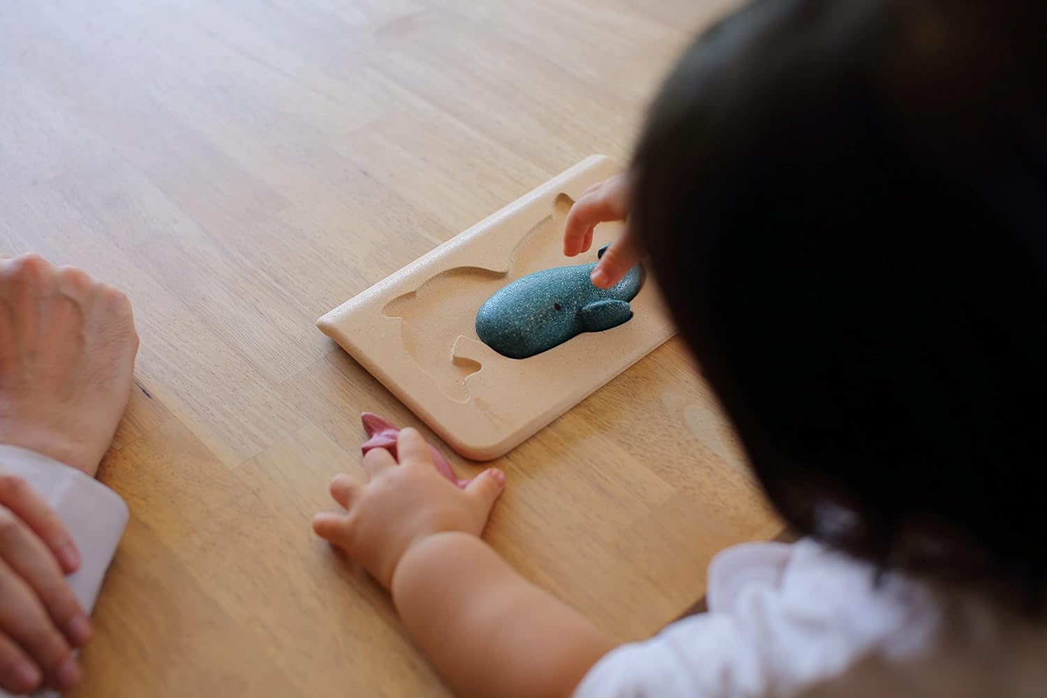 Sea Life Puzzle