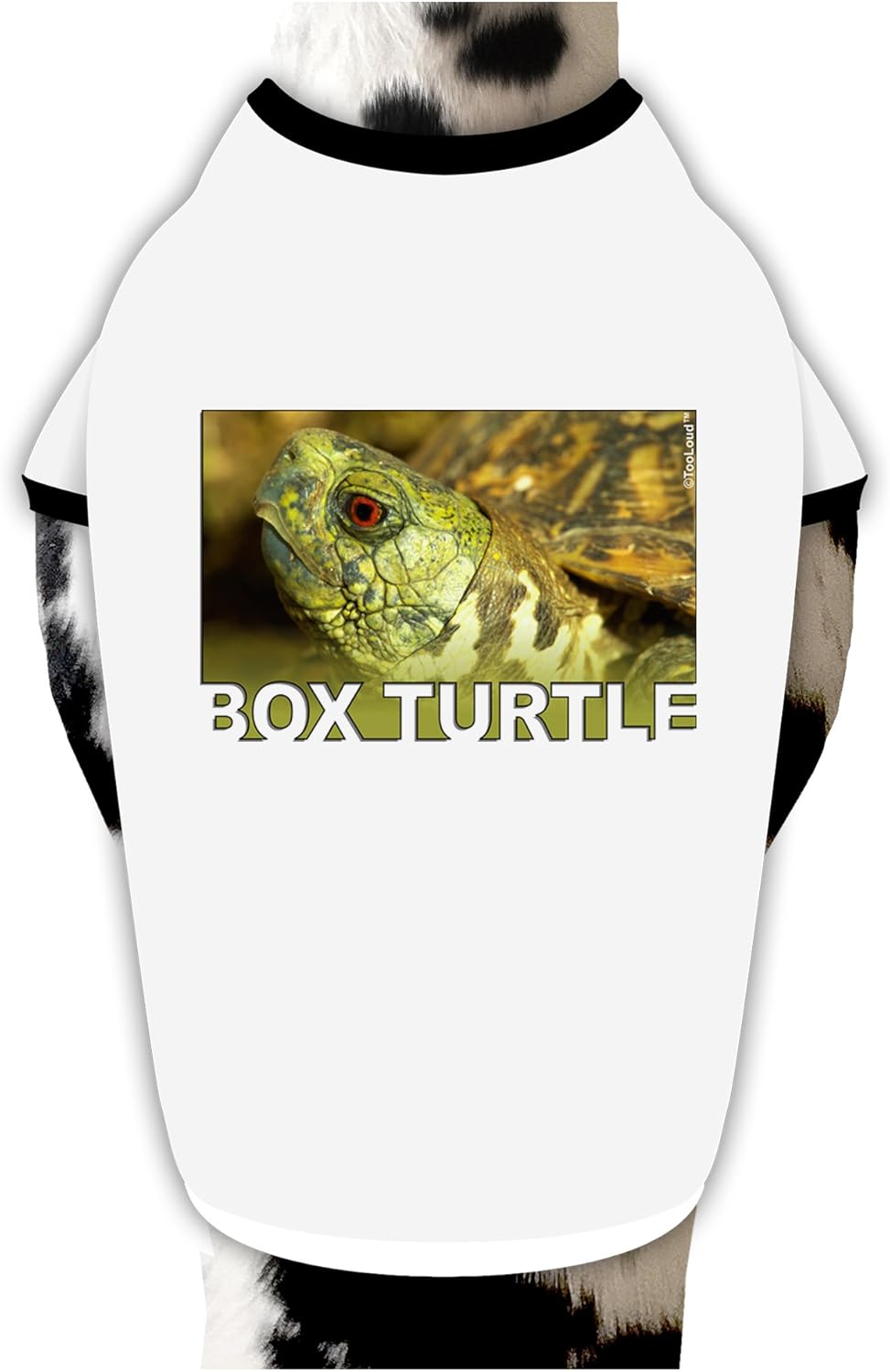 TOOLOUD Menacing Turtle with Text Dog Shirt White with Black XL
