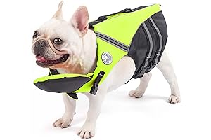 French Bulldog Life Jacket: Keep Your Pug Safe in Style