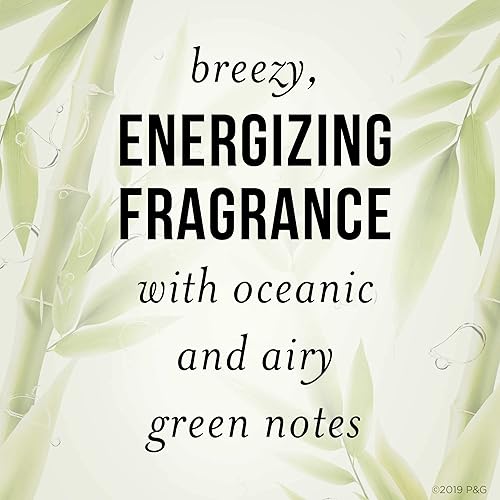 Miniatura 5 de Pantene Nutrient Blends Bamboo Hair Volume Multiplier Champú sin silicona para cabello fino y fino, 9.6 onzas líquidas, 2.583 onzas líquidas