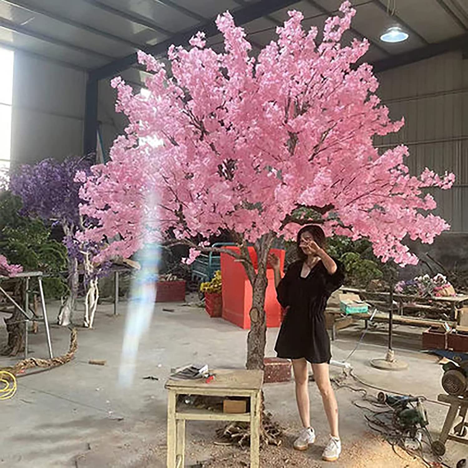 Albero Di Sakura Magico - Decorazione Giapponese 13,5 Cm - Fiorisce Con Acqua - Per Desktop E Casa - Foto 7