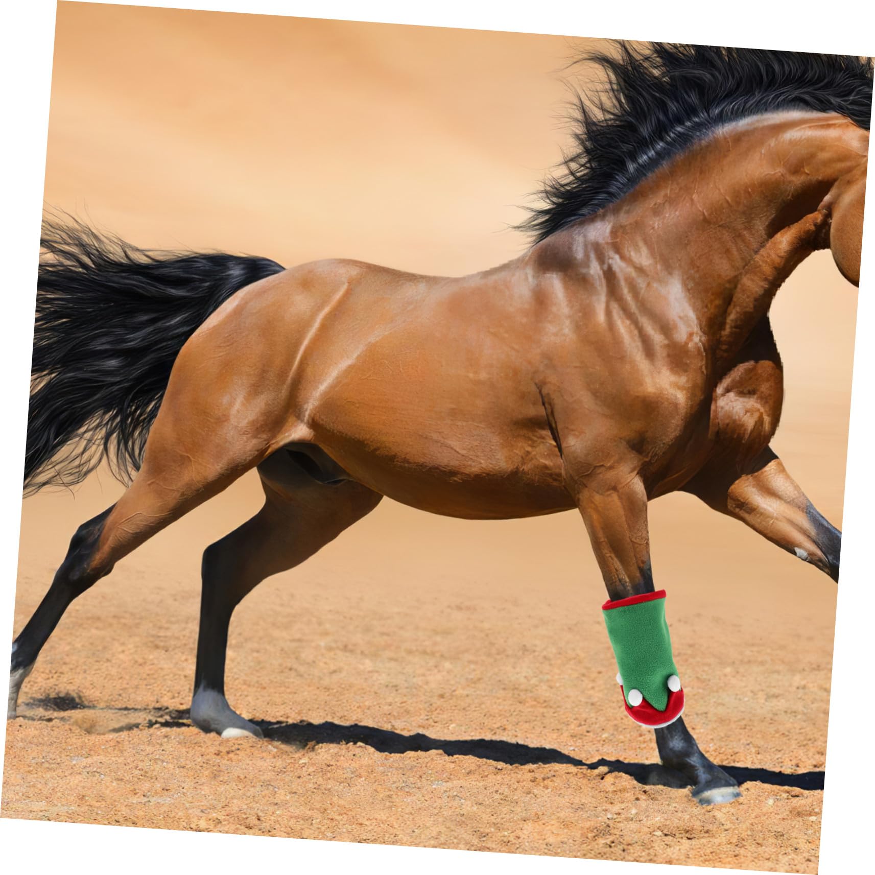 SUPVOX Fasce e Cappello Per Zampe Di Cavallo Natalizie Protezione Per Zampe Di Cavallo Natalizie e Cappello Da Elfo Accessori Per Costumi Natalizi Decorazione Per Feste Di Natale