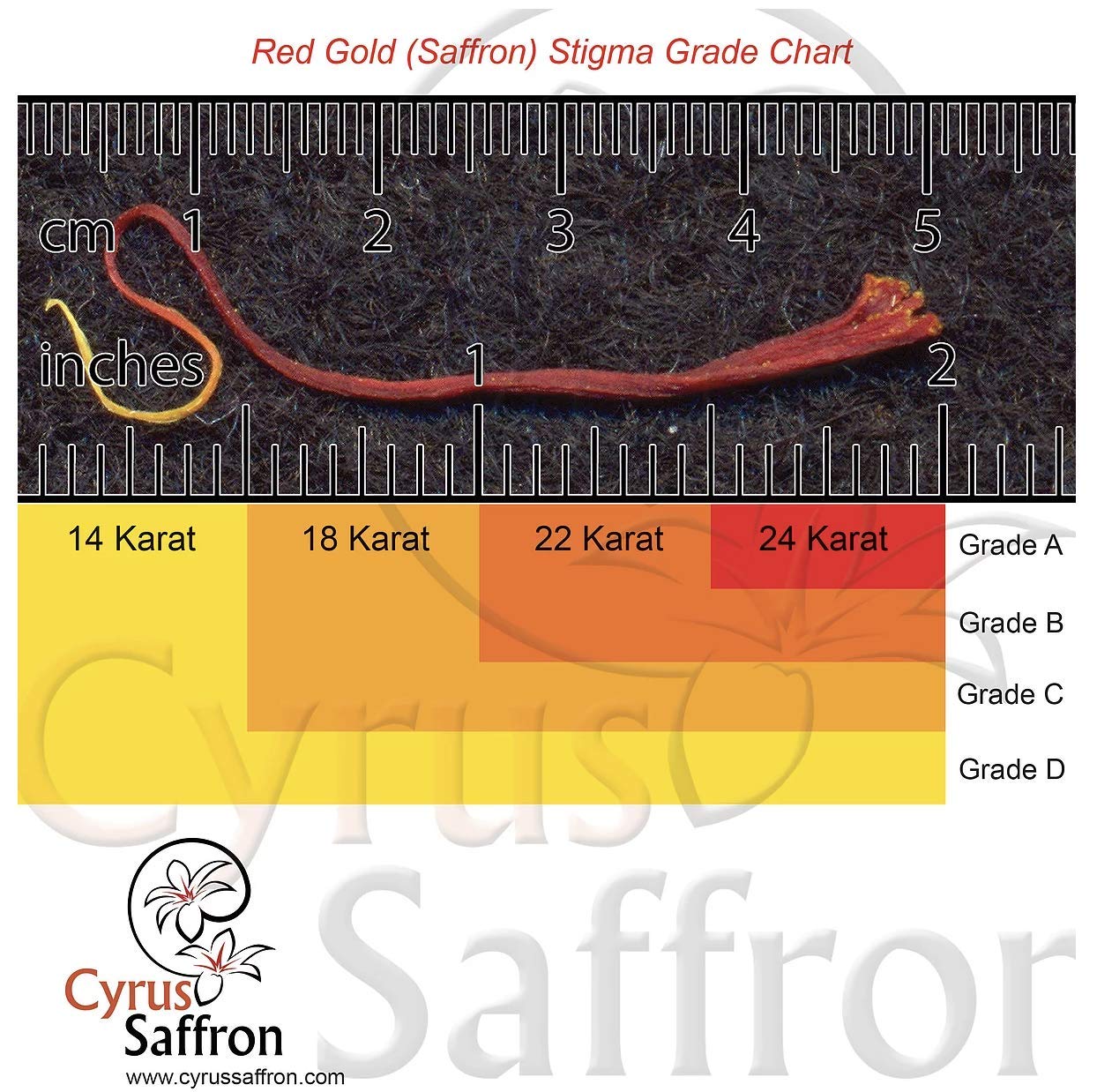 Cyrus Saffron, Organic USA Grown Superior Saffron 22-24 Karat All Red for Tapas, Paella, Rice Dishes, Tea (5 gram))