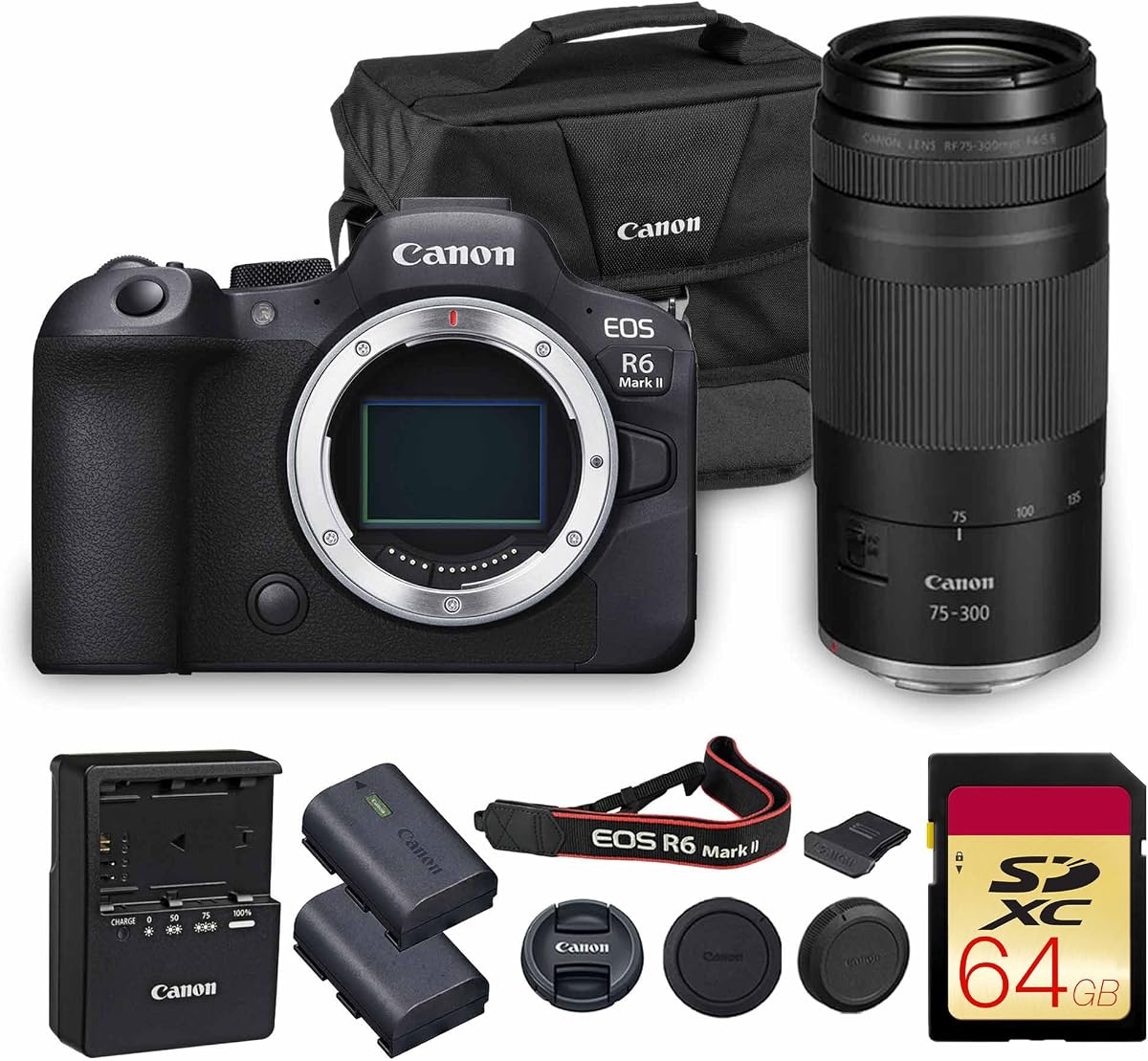 Cámara sin espejo Canon EOS R6 Mark II | Sensor de fotograma completo de 24,2 MP Vídeo 4K 60p | Estabilización corporal Dual Pixel AF para profesionales (5666C002) + Lente Canon RF 75-300 mm + Tarjeta de 64 GB + Bolsa